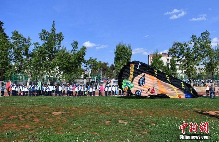 各類風(fēng)箏昆明藍(lán)天下“斗艷”