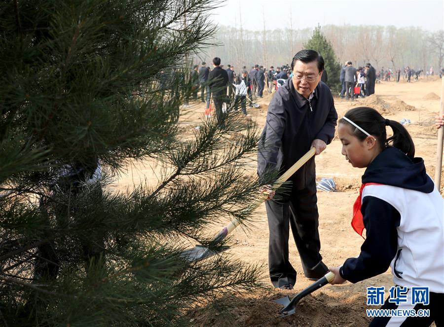 黨和國家領(lǐng)導(dǎo)人參加首都義務(wù)植樹活動