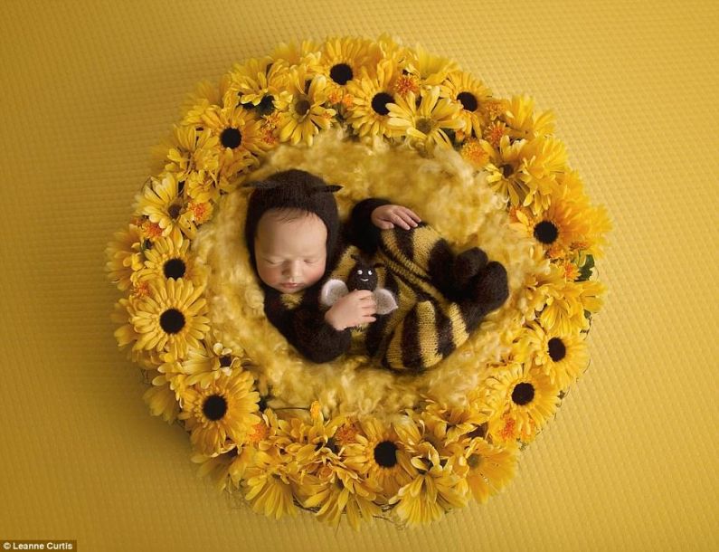 生命到來之時：記錄令人驚嘆的懷孕歷程