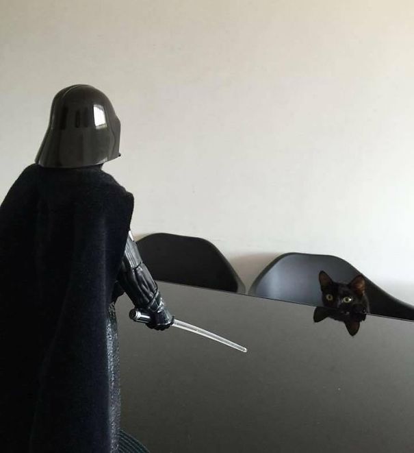 當(dāng)“不靠譜”人類接管你的寵物之后……