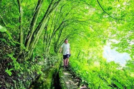 解碼中國丨這位當代“愚公”在懸崖峭壁上鑿出7千米水渠,現實比神話傳說更震撼!