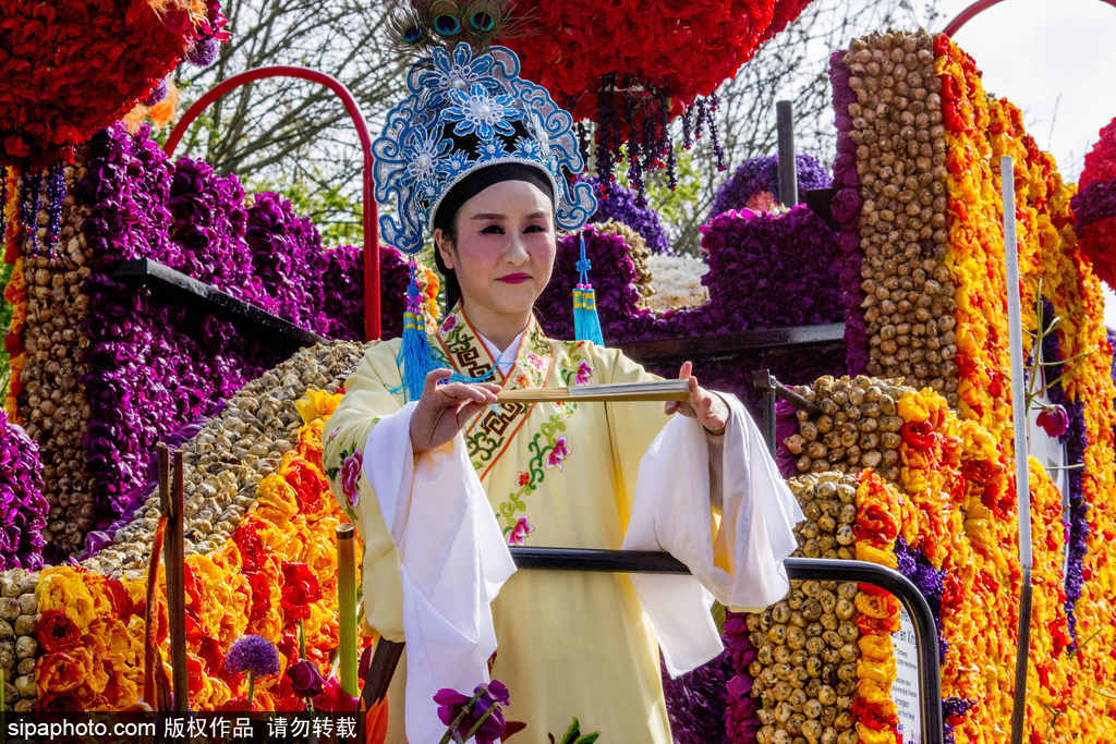 荷蘭小鎮(zhèn)利瑟迎來花車游行活動 鮮艷亮麗十分奪目