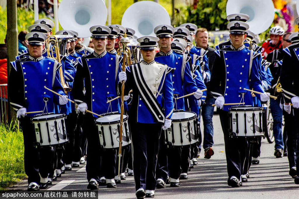 荷蘭小鎮(zhèn)利瑟迎來(lái)花車(chē)游行活動(dòng) 鮮艷亮麗十分奪目