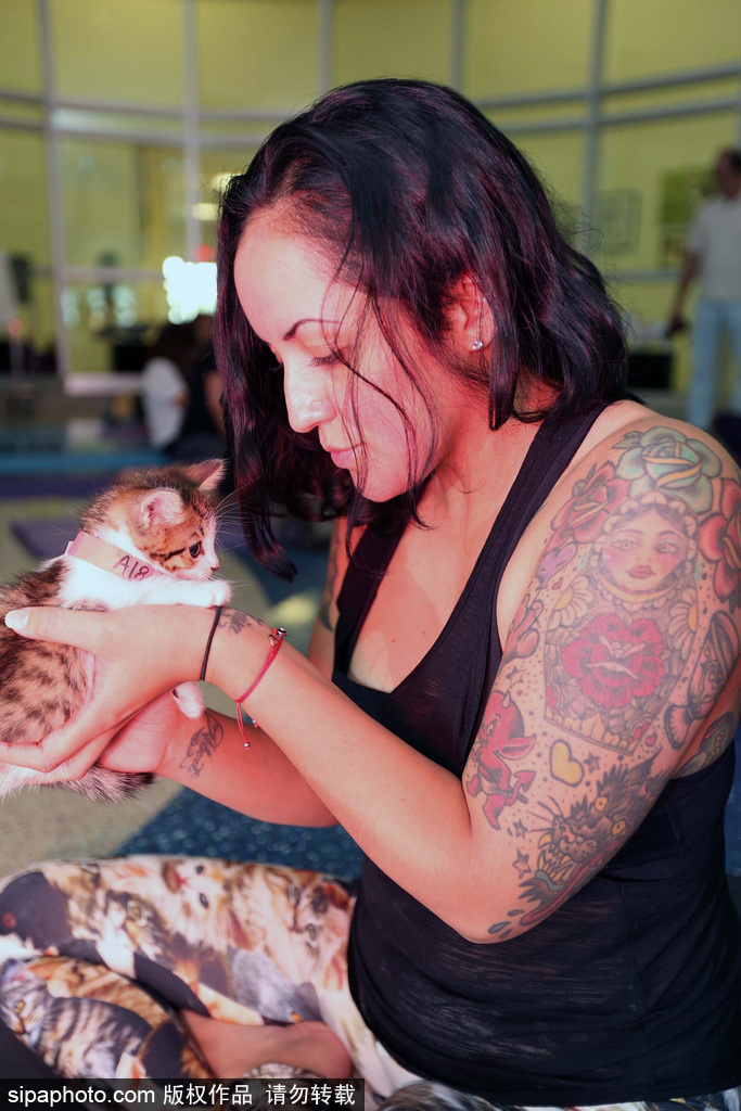 與喵星人一起做運動 美國推出人與貓咪瑜伽工作室