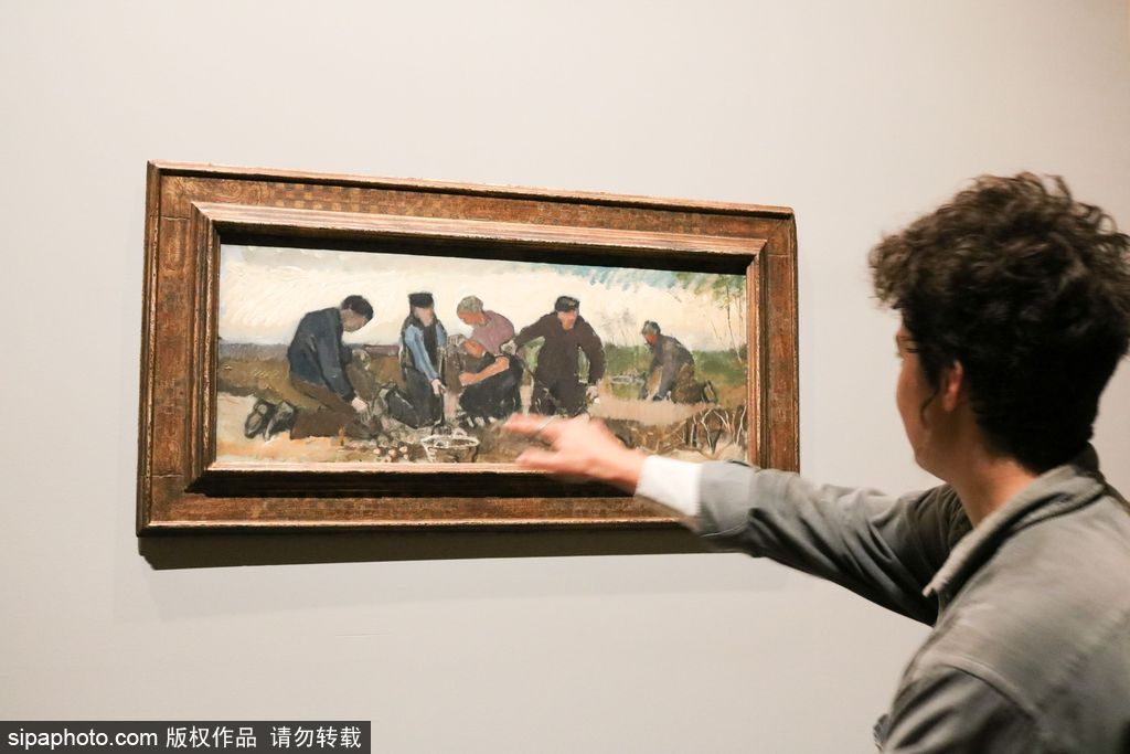 全球獨家！世界上首個梵高個人作品展在墨爾本舉辦