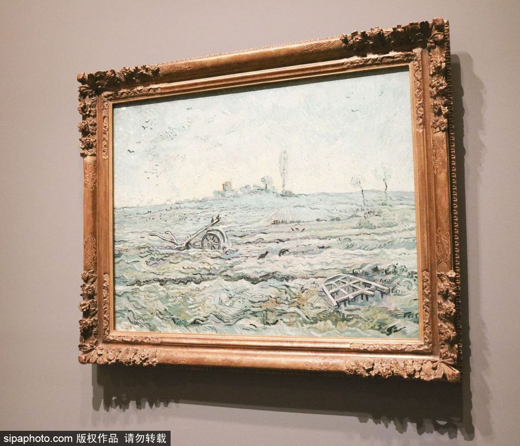 全球獨家！世界上首個梵高個人作品展在墨爾本舉辦