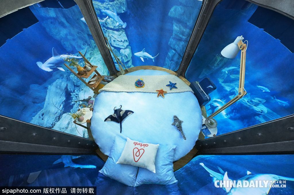 拼的就是創(chuàng)意 盤點水下世界趣聞不斷