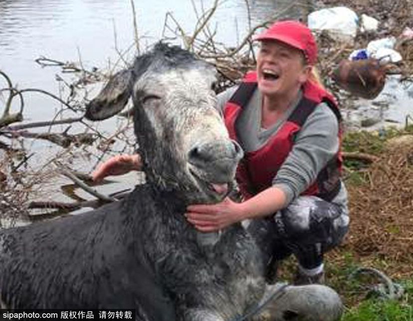 世界微笑日 看動(dòng)物笑容中的“語(yǔ)言”