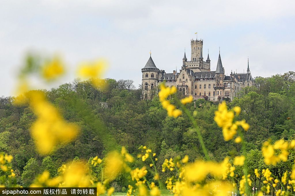 世界面積最大的城堡 德國(guó)馬林堡