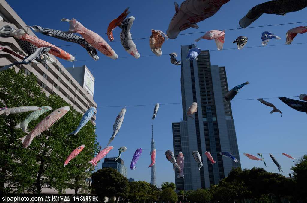 日本東京街頭鯉魚旗飄揚 寄托祝福慶祝男孩節