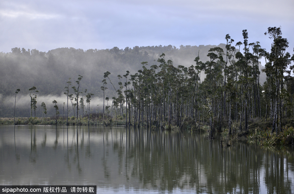 世界自然遺產“綠寶石之地”——新西蘭峽灣國家公園