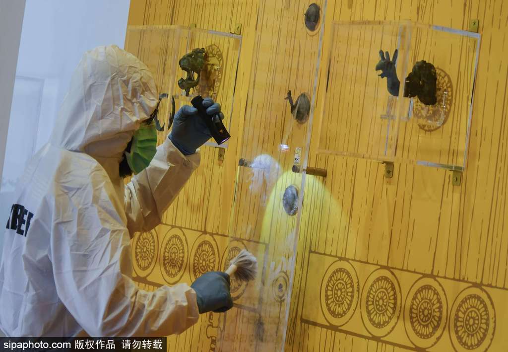 公元前6世紀龐貝古城文物被盜 調查人員現場勘查