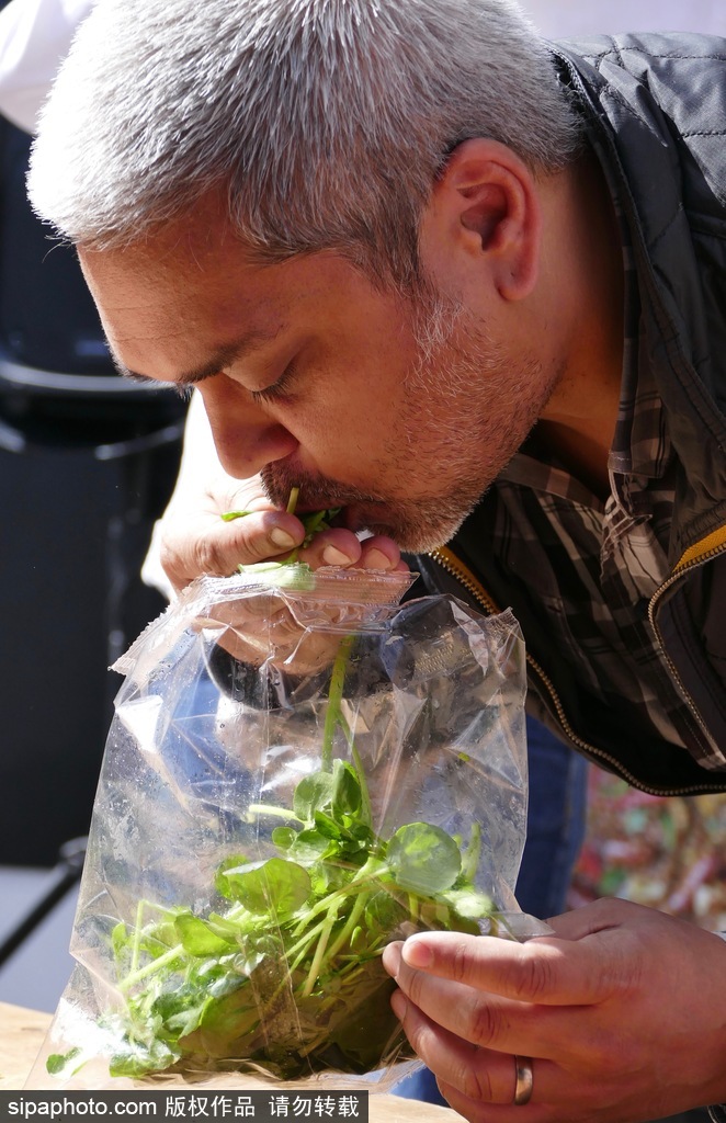 舌尖上的美食？英國(guó)吃豆瓣菜大賽眾選手大快朵頤瘋狂塞菜