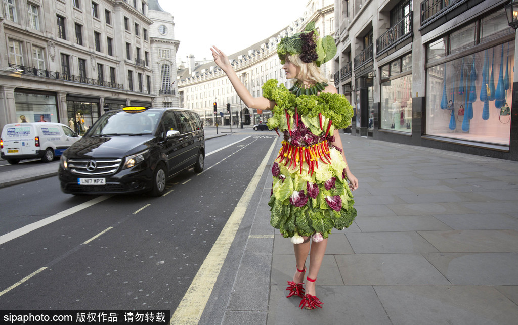 時尚bug沖擊！ 英國模特展示沙拉材料制成服裝