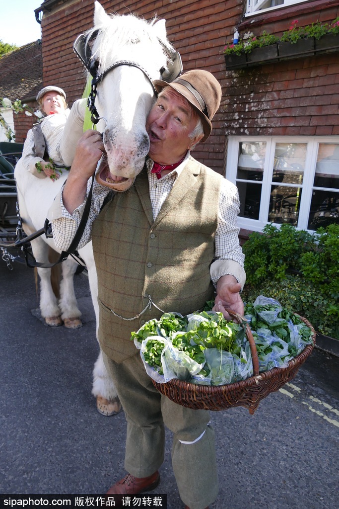 英國豆瓣菜節(jié)來襲 小鎮(zhèn)變綠色蔬菜世界