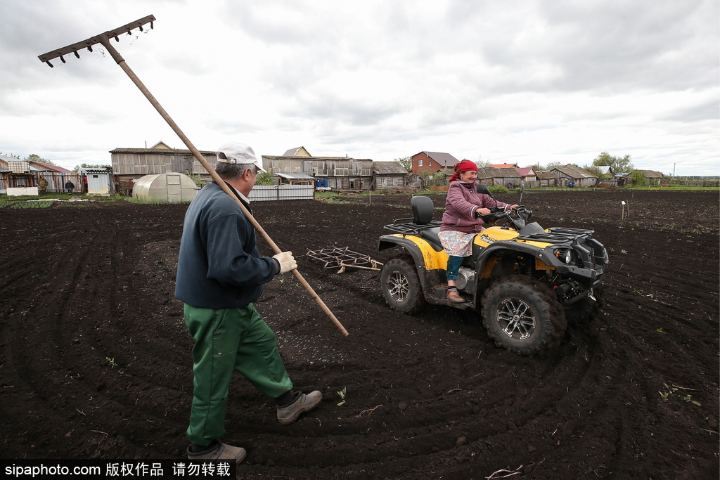 厲害了！俄羅斯老人開全地形車犁地超拉風(fēng)