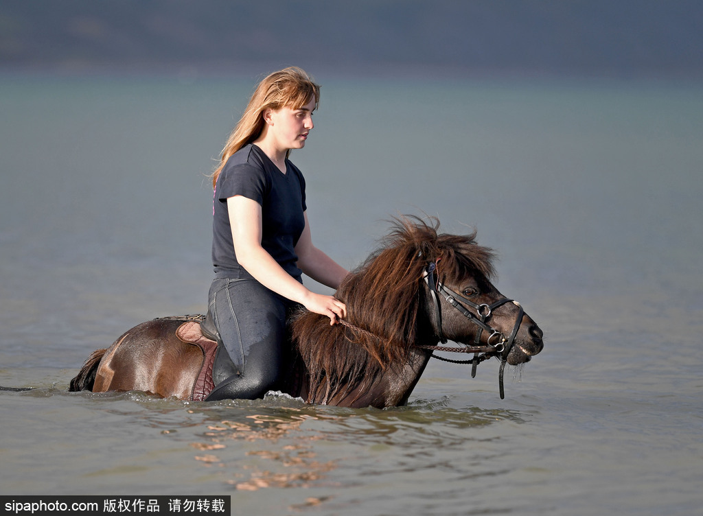 英國(guó)多塞特高溫來(lái)襲 女孩騎馬下河降溫