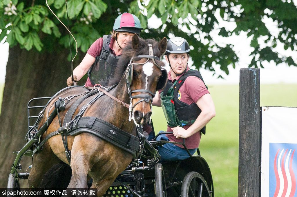 英國霍普頓四輪馬車賽激烈上演 菲利普親王坐車中悠閑觀賽