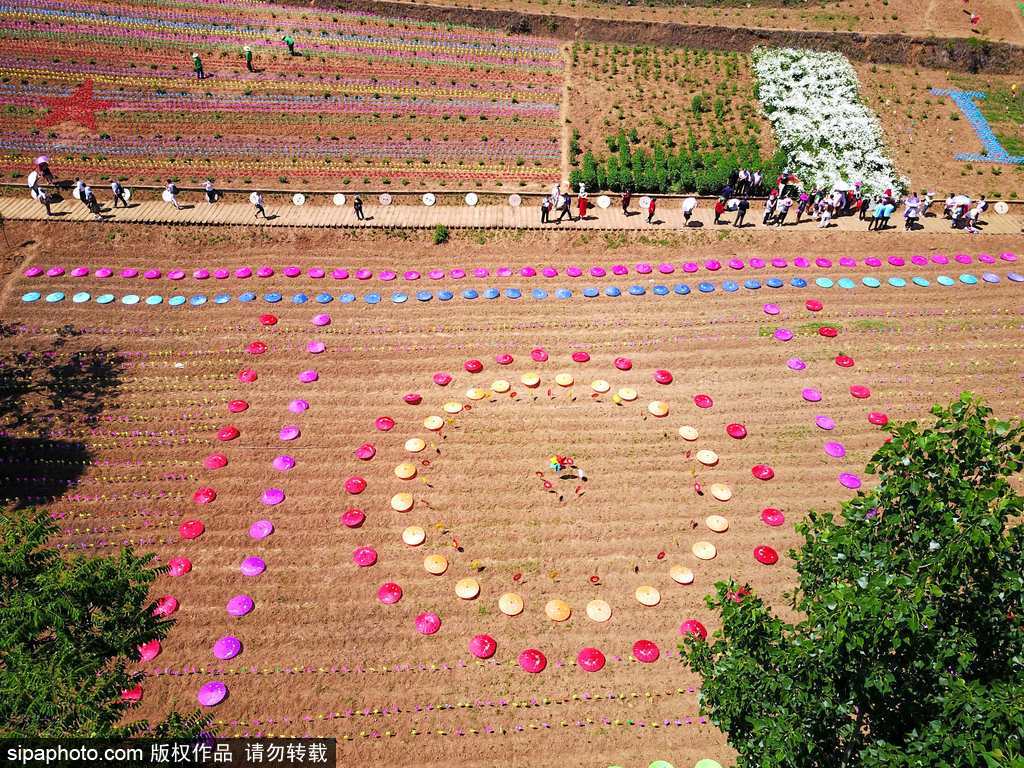河南：數萬風車裝扮七彩大地場面壯觀震撼