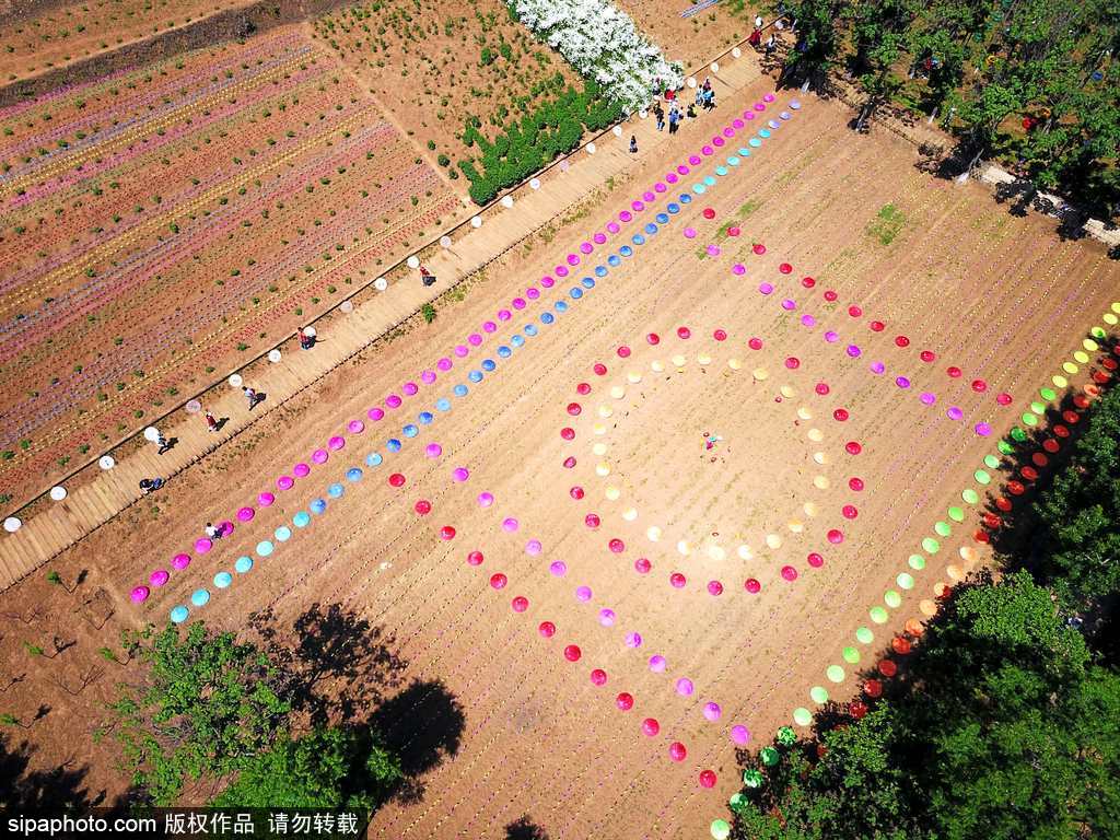 河南：數(shù)萬風(fēng)車裝扮七彩大地場面壯觀震撼