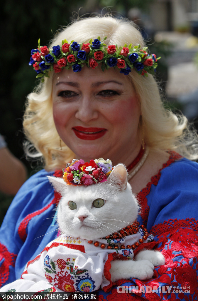 烏克蘭基輔傳統服飾大游行 喵星人身著繡花套衫美美噠
