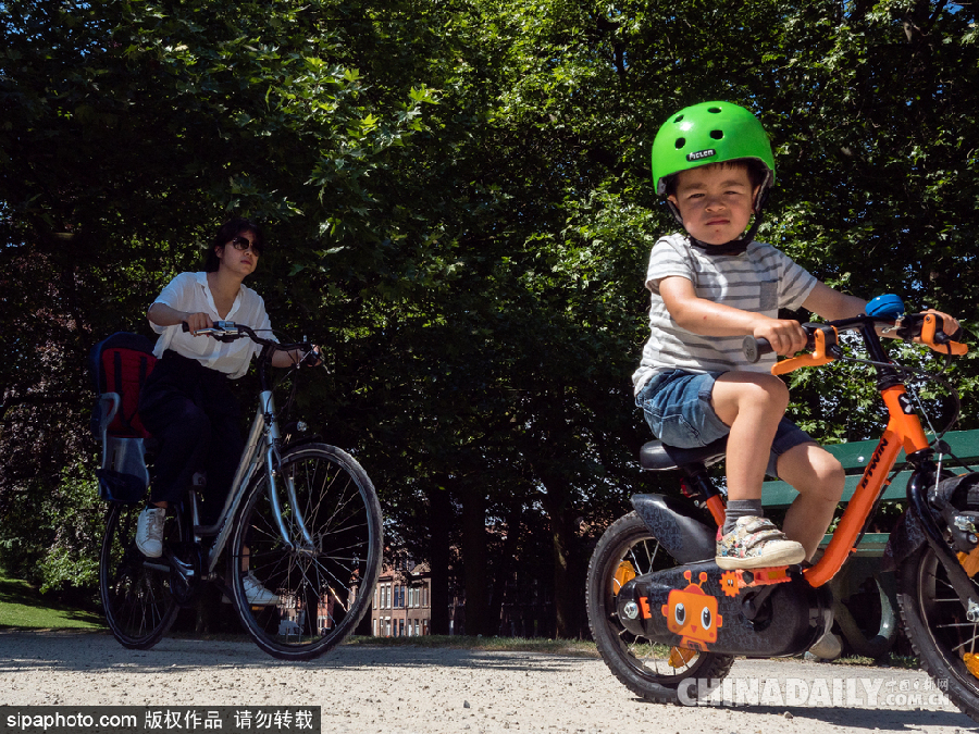 比利時布魯日迎來旅游旺季 夏日風(fēng)光清新亮麗