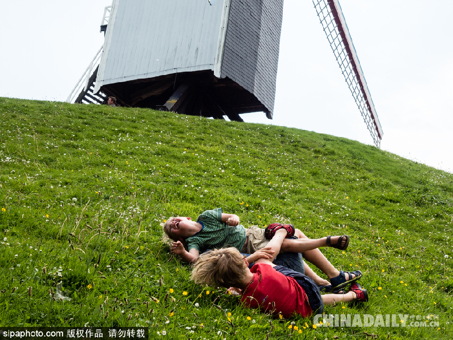 比利時布魯日迎來旅游旺季 夏日風光清新亮麗