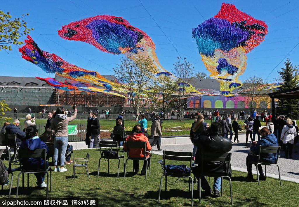 如墜凡間 俄羅斯藝術(shù)家創(chuàng)作“火鳥(niǎo)”降落傘織物藝術(shù)品