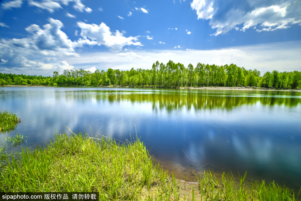 世界環(huán)境日 盤點(diǎn)國(guó)內(nèi)絕美濕地風(fēng)光