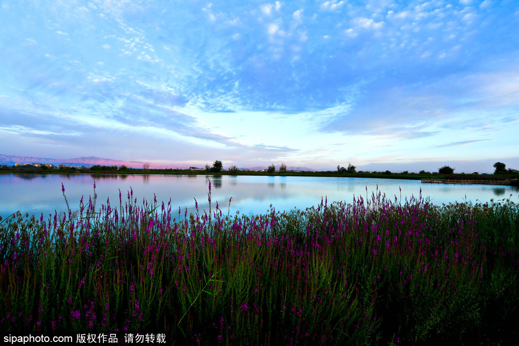 世界環(huán)境日 盤點(diǎn)國(guó)內(nèi)絕美濕地風(fēng)光