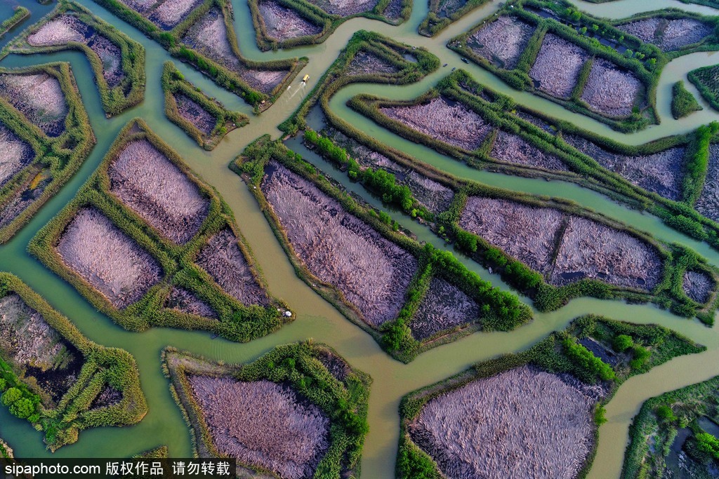 世界環(huán)境日 盤點國內(nèi)絕美濕地風光