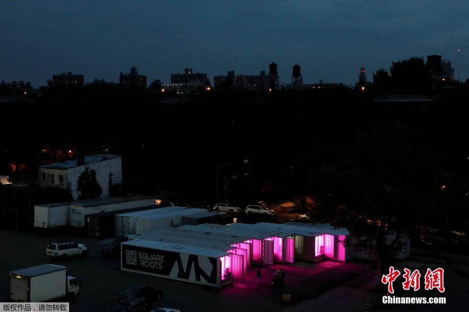 紐約科技范集裝箱農場 通過光控種植蔬菜