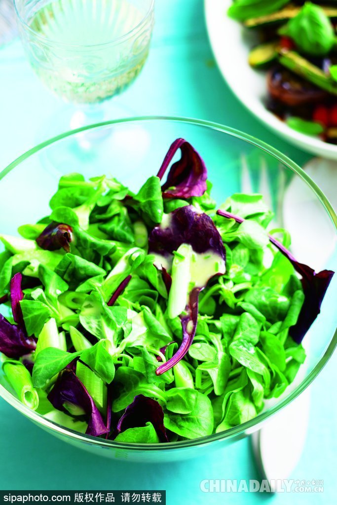 夏日美好“食光法則” 盤點享“瘦”沙拉美食