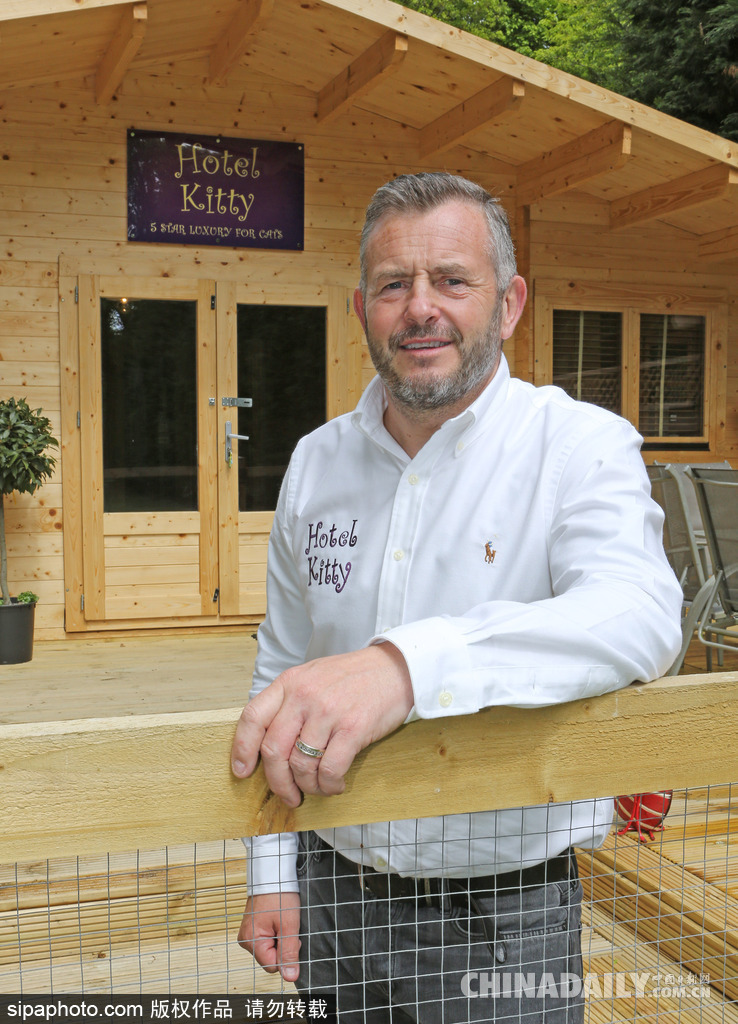 英國現超豪華貓舍旅館 電視美食spa樣樣俱全