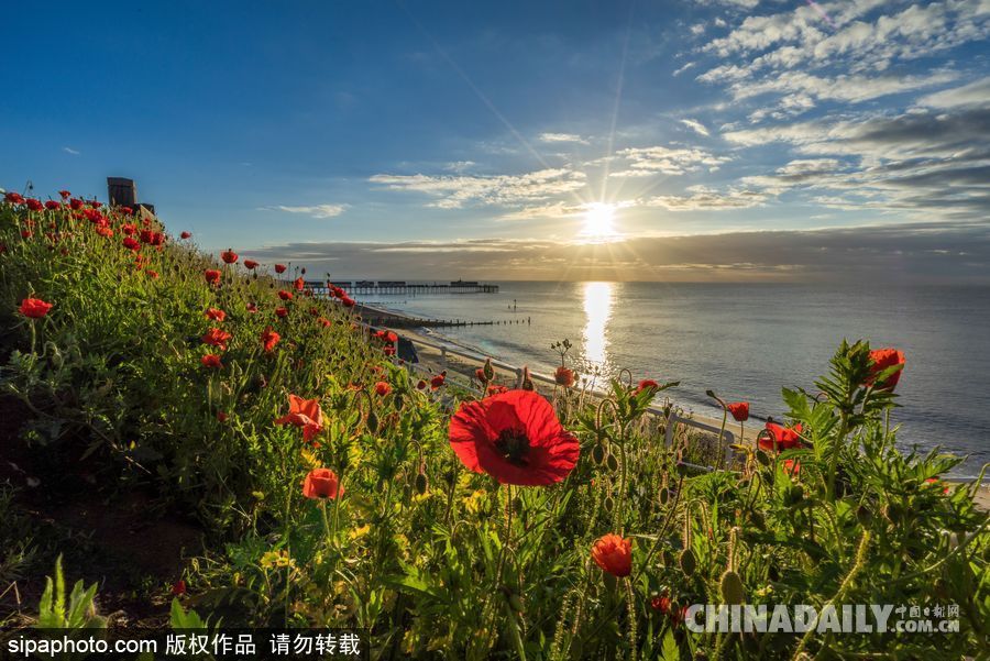 美到心坎里 英國索思沃爾德海邊風光