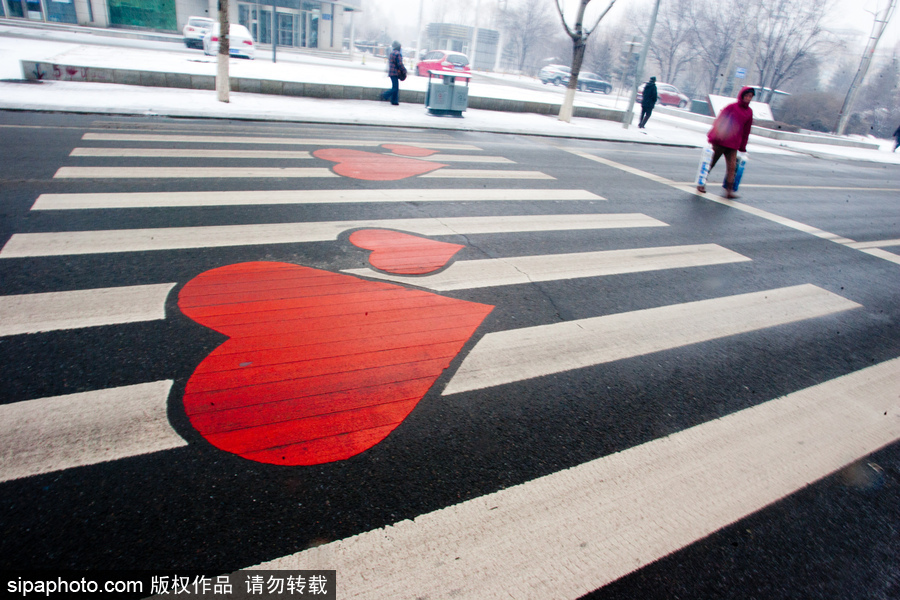 斑馬線也瘋狂 盤點創(chuàng)意人行橫道藝術(shù)