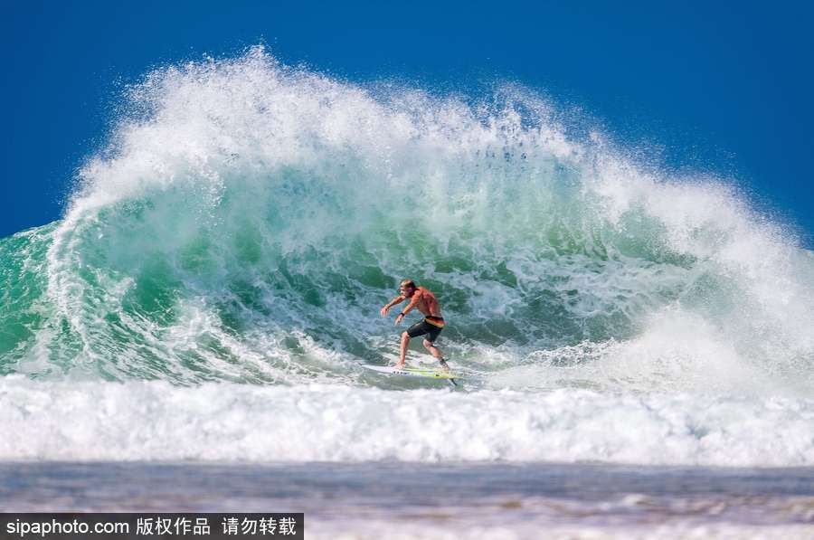 蔚藍國度 帶你領略神秘未知的海洋魅麗
