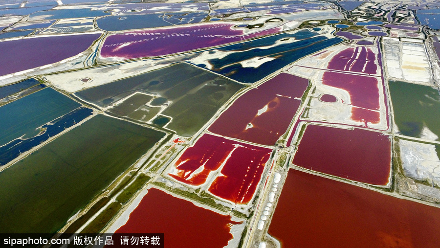 山西運(yùn)城：持續(xù)高溫來襲 千年鹽池變身美麗七彩湖