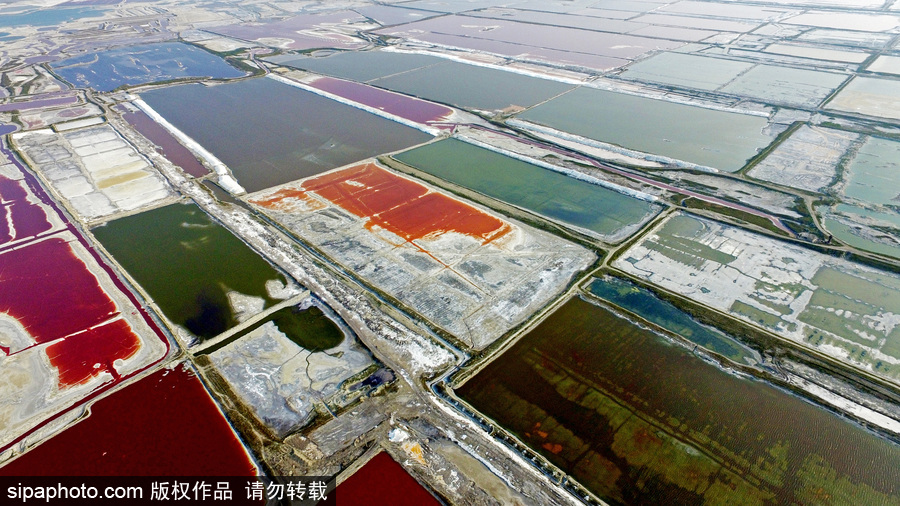 山西運城：持續高溫來襲 千年鹽池變身美麗七彩湖