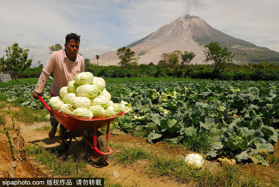 心態好！錫納朋火山熔巖量持續增加 居民淡然生活