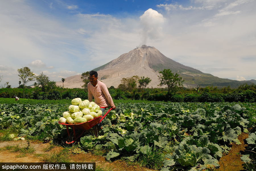 心態好！錫納朋火山熔巖量持續增加 居民淡然生活