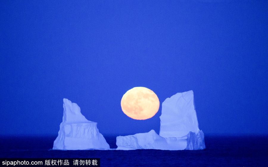 人類月球日 盤點地球視角下的明月當空