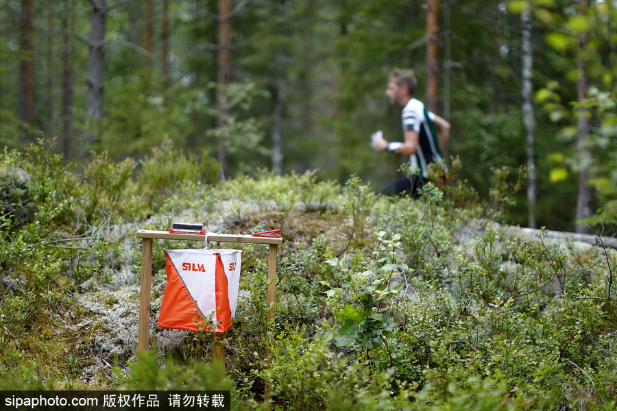瑞典五日定向越野賽精彩開幕 男女老少齊上陣挑戰耐力極限