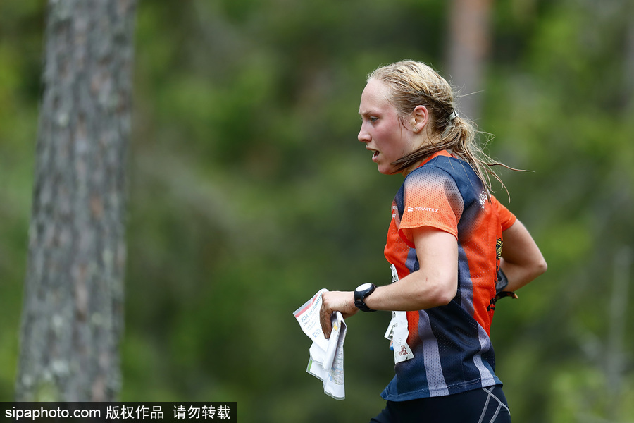 瑞典五日定向越野賽精彩開幕 男女老少齊上陣挑戰耐力極限