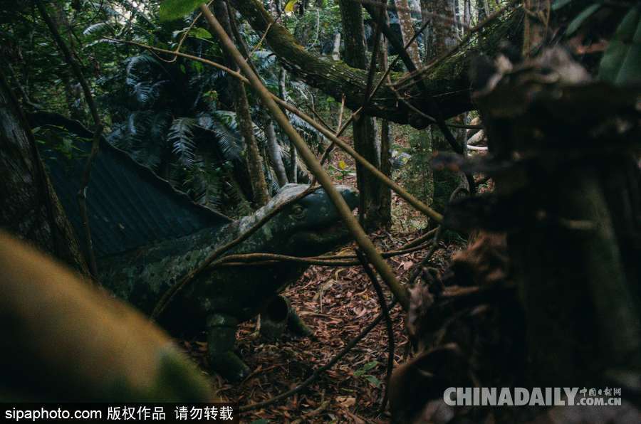 馬來西亞廢棄主題公園 似現(xiàn)實版侏羅紀公園