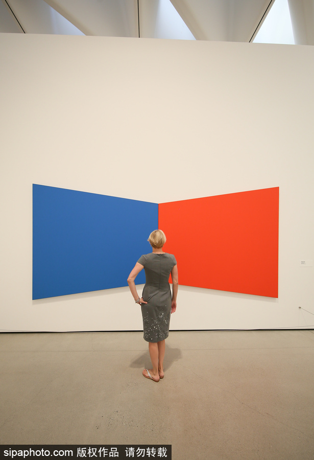 走進美國布洛德博物館 開啟生動有趣的藝術之旅