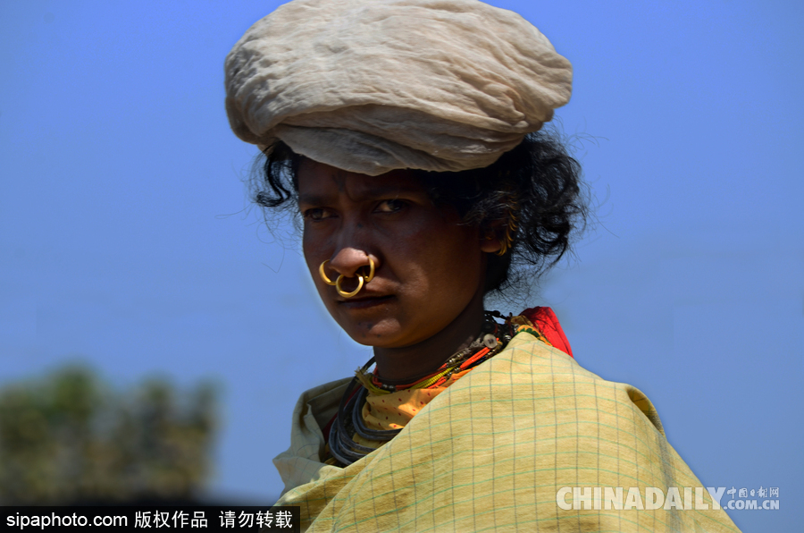 記錄印度奧里薩邦部落女性 婦女辛勤勞作