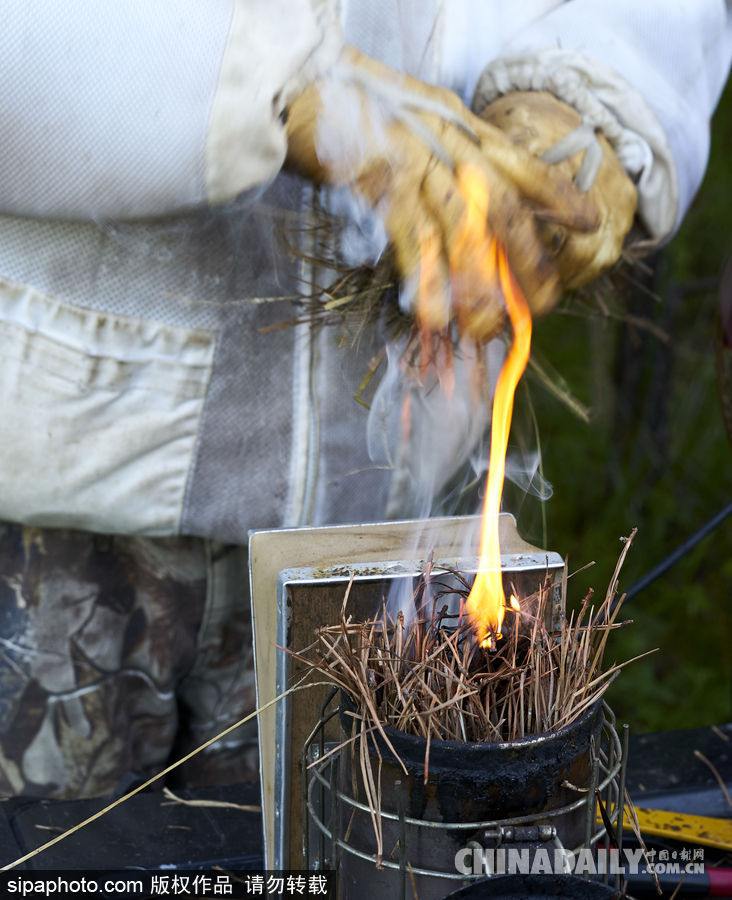 探訪美國弗農(nóng)養(yǎng)蜂場 滴滴香甜原生態(tài)
