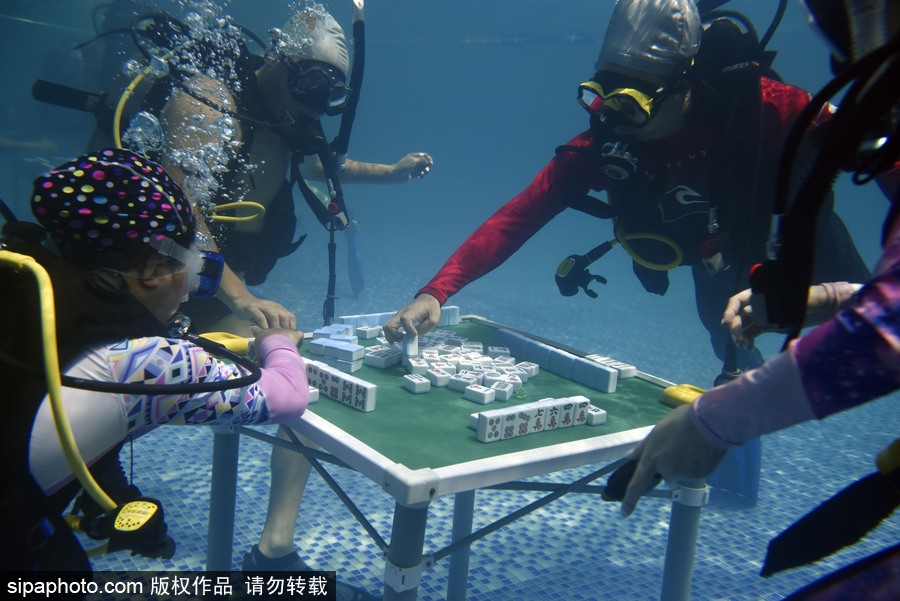 Word天！麻將或成為2022年冬奧會表演項目 中國國粹風(fēng)靡全球歪果仁也愛玩