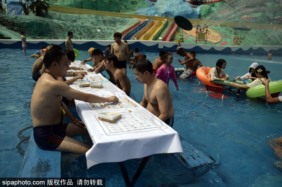 Word天！麻將或成為2022年冬奧會表演項目 中國國粹風(fēng)靡全球歪果仁也愛玩